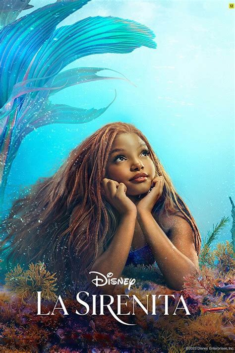 the little mermaid (2023) torrentz|la sirenita disney 2023.